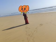 -日照海滨国家森林公园