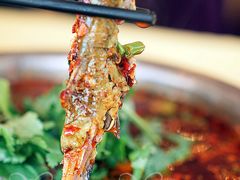 麻辣三角峰-胖大姐黄辣丁鱼庄(新津店)