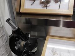 -植物学家的女儿(北马道巷店)