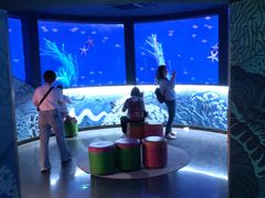 -沈阳海洋探索中心