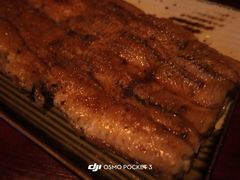 -九州酒场ひこぞう(1号店)