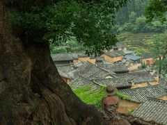 -杨家堂村