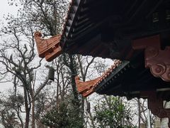 -东湖磨山景区