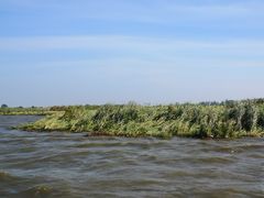 -洪湖生态旅游区