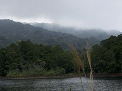 -海南热带雨林国家公园吊罗山景区