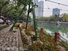 -成都市活水公园