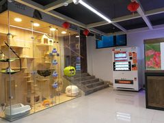-米卢宠物公园(广华居店)