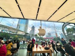 -Apple零售店(天环广场店)
