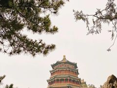 -颐和园