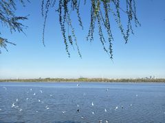 -人民防洪胜利纪念塔