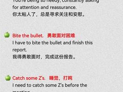 -引领英语·成人口语·雅思托福