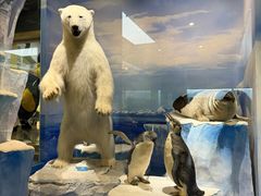 -国家自然博物馆