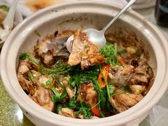 鱼头啫啫煲-光头匠