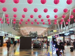 -约翰·菲茨杰拉德·肯尼迪国际机场