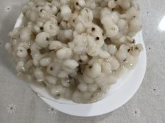 -老周记顺德双皮奶