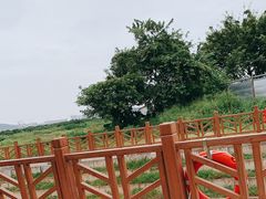 -光明小镇欢乐田园