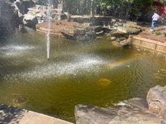 -沈阳植物园