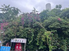 -桥香园云南过桥米线(红龙井店)