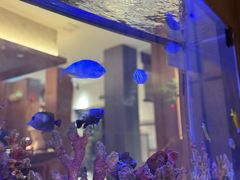 -水之惠鲜鱼料理(王府大街店)