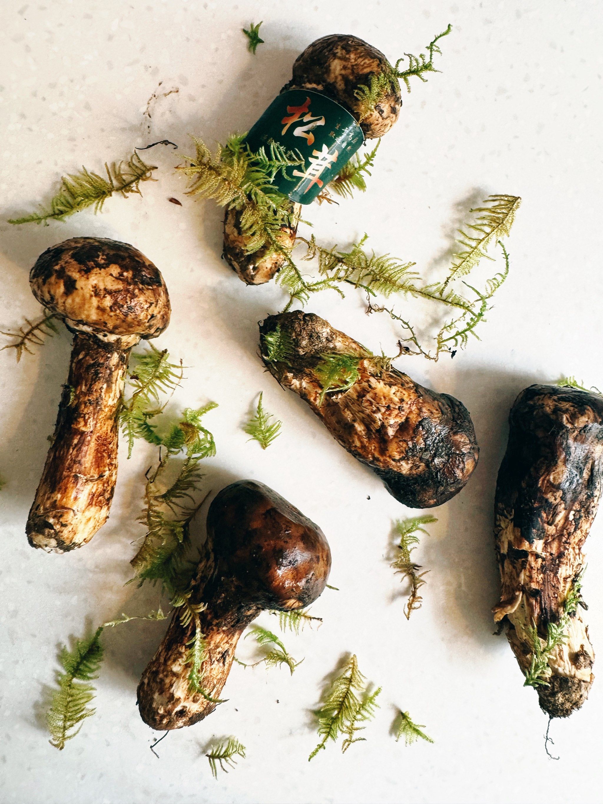 松茸黄油鸡一相逢,便胜却美食无数!