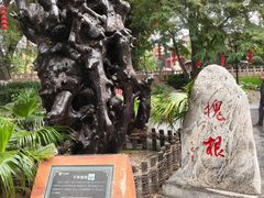 -大槐树寻根祭祖园