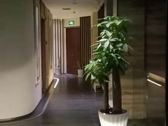 -金水养生(华新店)