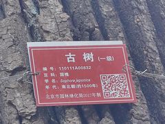 -北京上方山国家森林公园