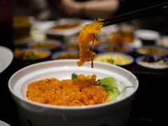 酸辣广肚-阿庄新豫菜(通泰路店)