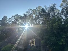 -三水森林公园