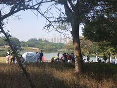 -东莞植物园