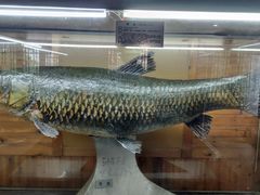 -南京金牛湖风景区