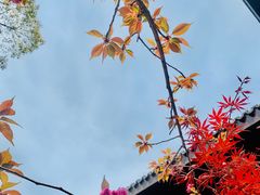 -同里国家湿地公园