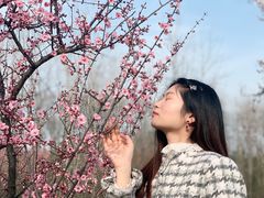 -蜀冈西峰生态公园