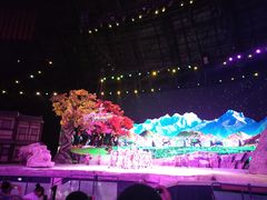 -华夏文旅海洋公园