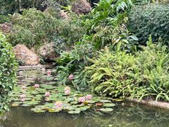 -晓港公园