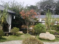 -湘力力小院·鱼汤泡饭(枫林路店)