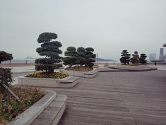 -演武大桥观景平台