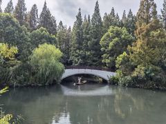 -东平国家森林公园