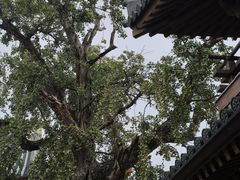 -昭山风景名胜区