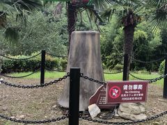 -金钉子远古世界景区