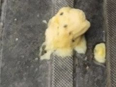 -CREAM STORY意大利手工冰淇淋&甜品(万象前海店)