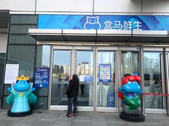 -盒马X会员店(王府井奥莱UP TOWN店)