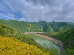 -黑河国家森林公园