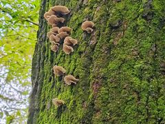 -终南山南五台景区