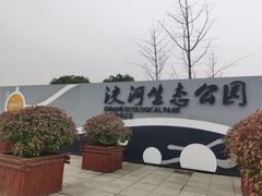 -洨河生态公园