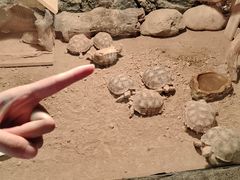 -蓬莱欧乐堡海洋极地世界