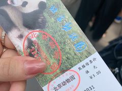 熊猫馆门票-北京动物园