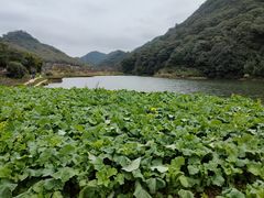 -广州市石门国家森林公园