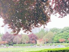 -木塔寺遗址生态公园