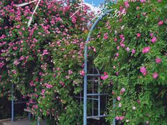 -国家植物园南园